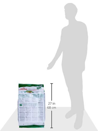 Royal Canin Mini Adult Dog Food, 8 Kg, Dry Food, Supports Weight Management & Digestive Health