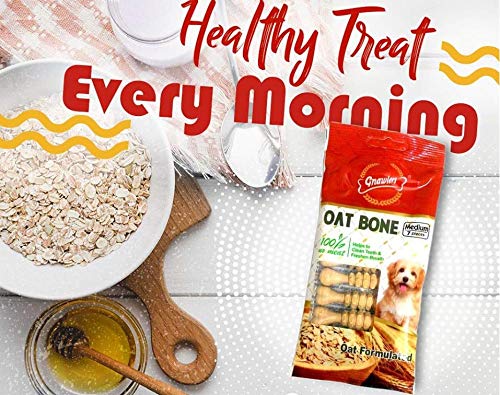 Gnawlers Oat Bone Dog Treat for All Life Stages, Vegetable Flavor 225g (25 Pieces)