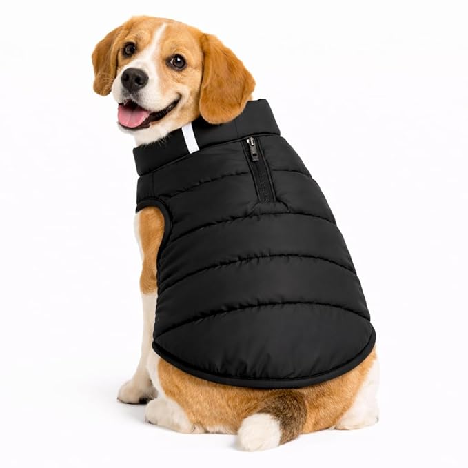 Zigly Lifestyle Trail Buddy Dog Jacket Black| Lightweight, Water-Resistant & Windproof Dog Coat - 2XL
