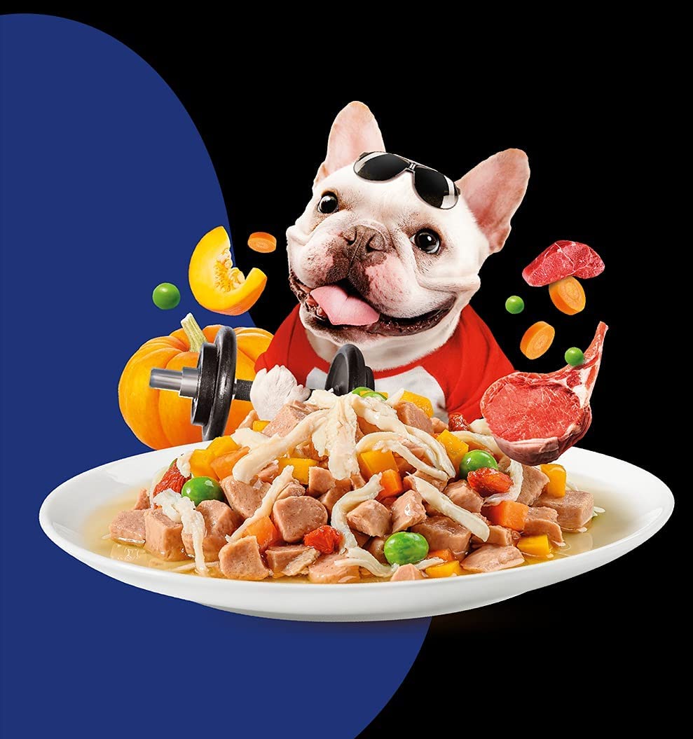 PETS EMPIRE Moochie Wet Dog Food Combo (85g X 5) Grain Free Gavy Meal, No Artificial Flavours, High Protein Dogs Gravy Foods, Non-Vegetarian Pet Meals, All Flavour Mix for Dogs, Puppy