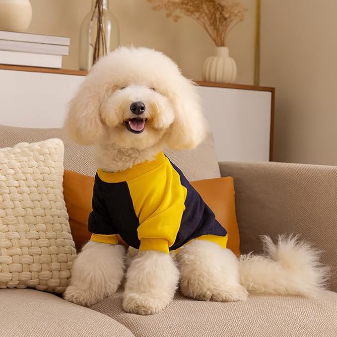Zigly Lifestyle Winterized Duotone Dog Sweatshirt Yellow-XS-(30cm)| Cozy Warm Pet Clothing|Cozy Warm Wear for Dogs