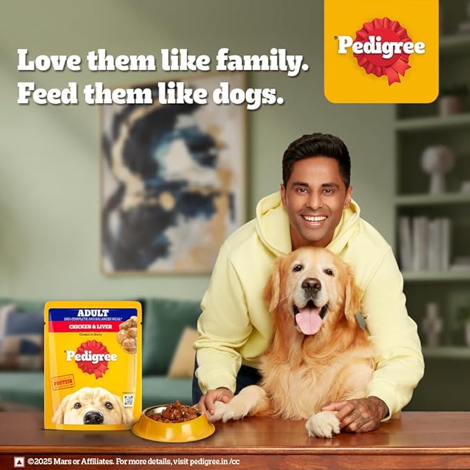 Pedigree Adult Wet Dog Food, Chicken & Liver Chunks in Gravy, 70 g (Pack of 90), Complete & Balanced Meal for Adult Dogs