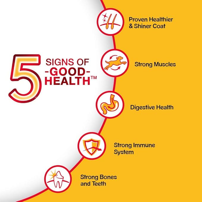 Pedigree Adult Dry Dog Food, Meat & Rice, 10kg Pack & Puppy Wet Dog Food, Chicken Chunks in Gravy, 70 g (Pack of 30)