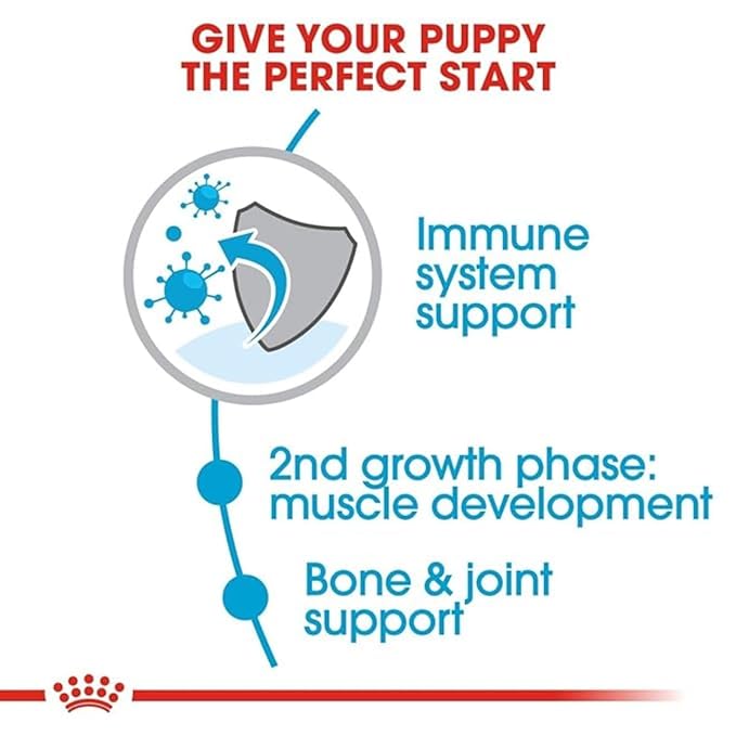 Royal Canin Giant Junior Dog Food, 15 Kg, Dry Food, Supports Immune System & Muscle Mass Development