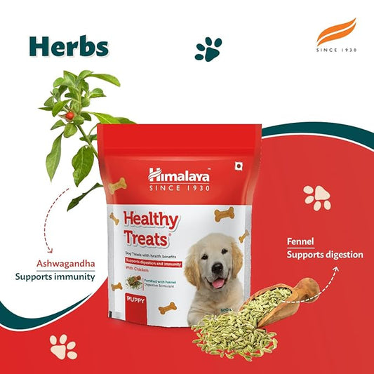 Himalaya, Wellness Company Healthy Dog Biscuit Treats For Puppy With Chicken I Supports Digestion & Immunity | Training & Rewards | 1 Kg