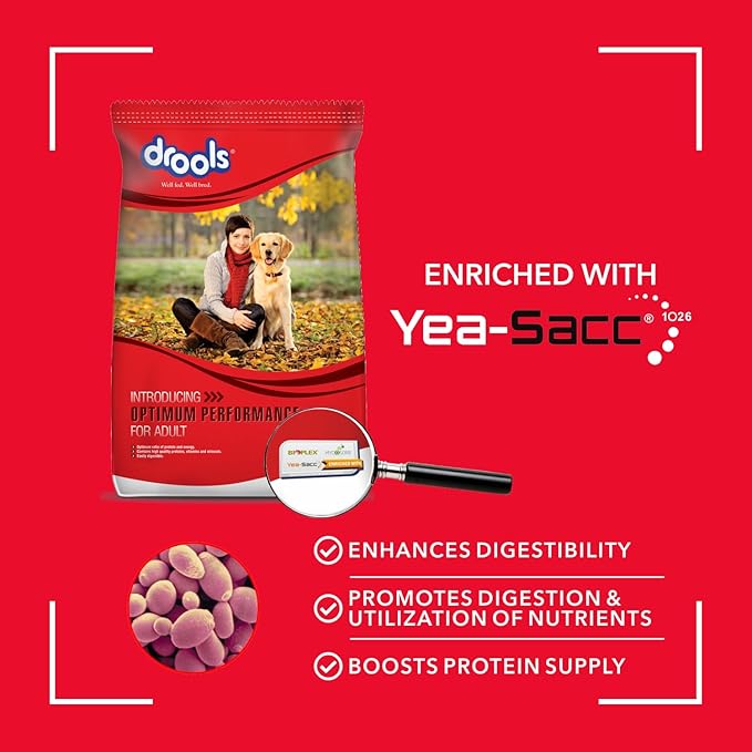 Drools Adult Optimum Performance Dry Dog Food 3kg, with 2 Dog Creamy Treats Free (75gm)