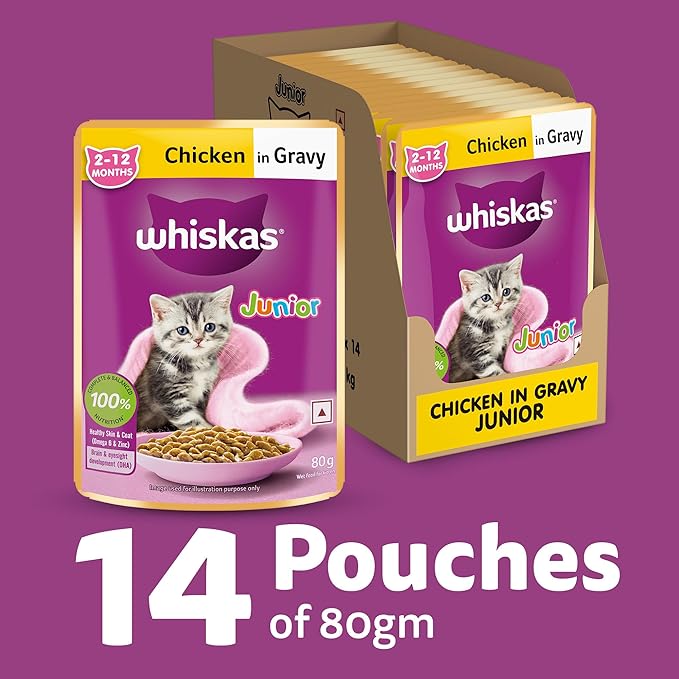 Whiskas Junior Kitten (2-12 Months) Wet Cat Food, Chicken in Gravy, 80 g (Pack of 14), Hydrating Food Made With Real Chicken, 100% Complete & Balanced Nutrition for Kittens