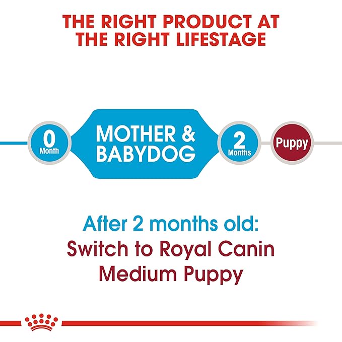 Royal Canin Medium Starter, Mother & Babdog Food, 1 Kg, Dry Food, Supports Complex Natural Defence & digestive health, Provides Gestation/Lactation Support, Supports Easy rehydration