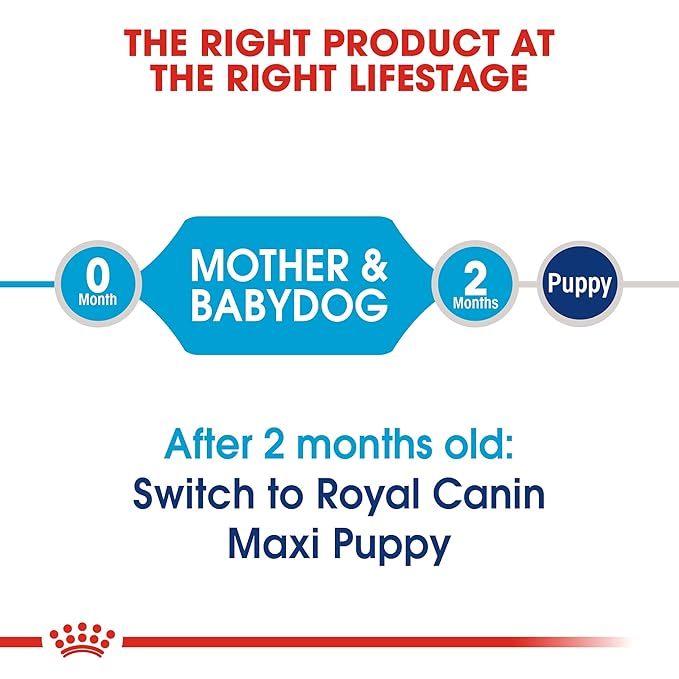 Royal Canin Maxi Starter, Mother & Babydog Food, 4 Kg, Dry Food, Supports Complex Natural Defence & digestive health, Provides Gestation/Lactation Support, Supports Easy rehydration