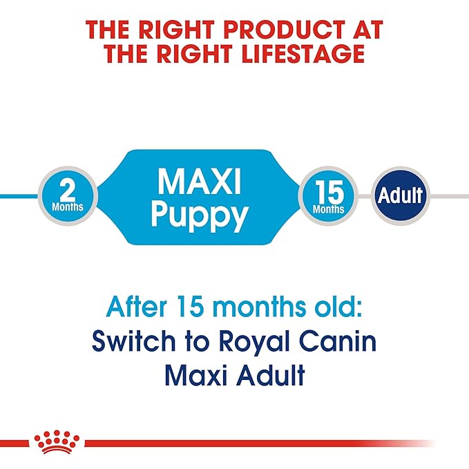 Royal Canin Maxi Puppy Food, 10 Kg, Dry Food, Supports Immune System & digestive health, Provides Long growth, moderate energy