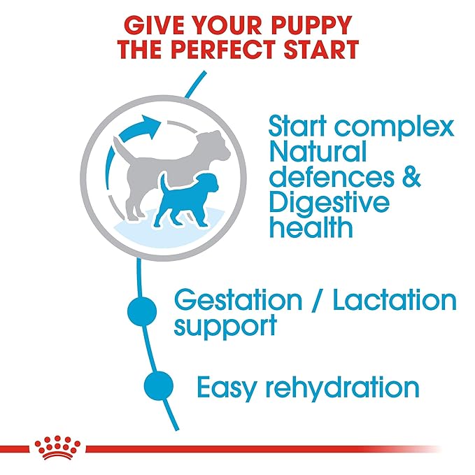 Royal Canin Mini Starter, Mother & Babdog Food, 1 Kg, Dry Food, Supports Complex Natural Defence & digestive health, Provides Gestation/Lactation Support, Supports Easy rehydration