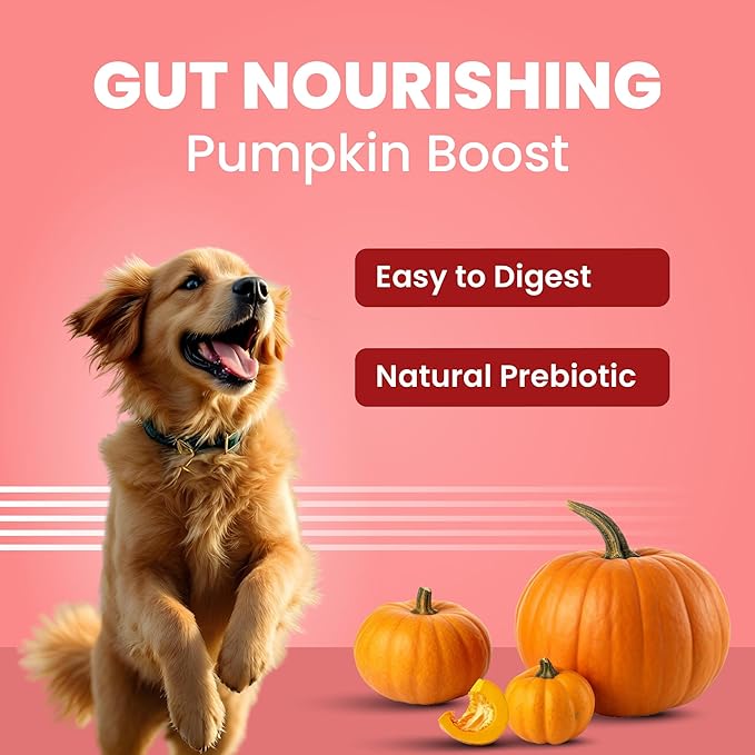 BARK OUT LOUD Protein Bars - Dog Treats with Chicken & Fish | Collagen, No Added Sugar | Pumpkin, High Fiber Snacks for Dogs | Helps Digestion, Muscle Growth & Shiny Coat - 35 GMS Each (Pack of 4)