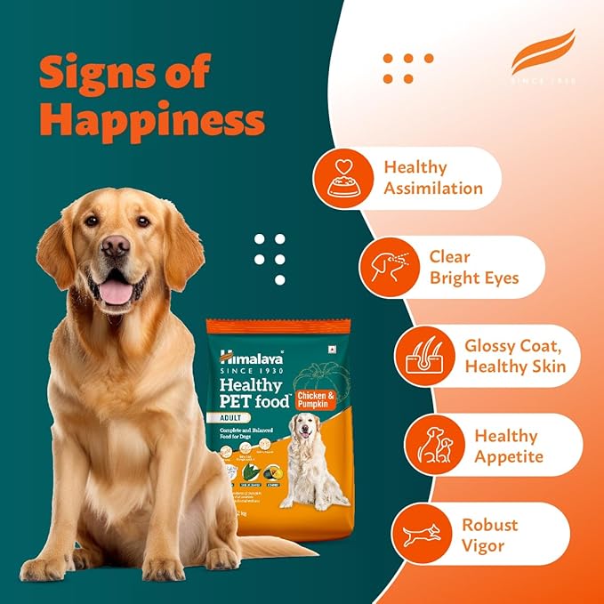 Himalaya Healthy Pet Food | Chicken & Pumpkin Flavor | For Healthy Appetite & Shiny coat | 100% Complete & Balanced Food for Adult Dogs | 1.2 kg Pack