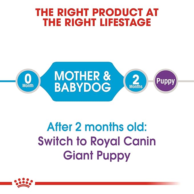 Royal Canin Giant Puppy Dog Food, 3.5 Kg, Dry Food, Supports Immune System & Intense Growth Controlled Energy
