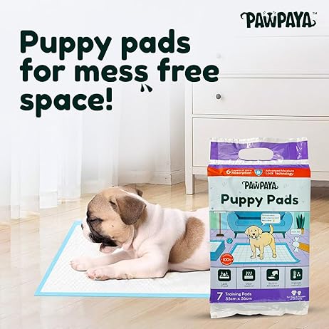 Training Pads for Dogs & Puppies | Ultra Absorbent Leak-Proof Pee Pads | Quick-Dry with Odour Neutralizer | Indoor Potty Training Pads for All Breeds | 7 Pads Each, Pack of 2