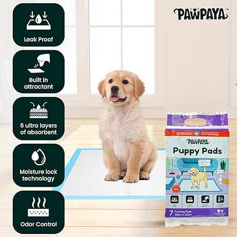 Training Pads for Dogs & Puppies | Ultra Absorbent Leak-Proof Pee Pads | Quick-Dry with Odour Neutralizer | Indoor Potty Training Pads for All Breeds | 7 Pads Each, Pack of 2
