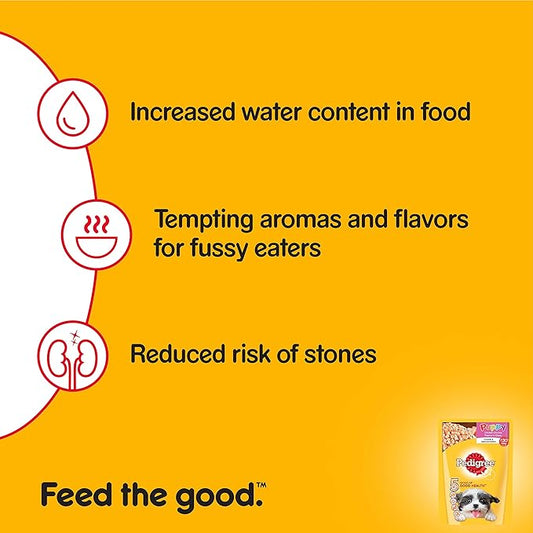 Pedigree Puppy Wet Dog Food, Chicken Chunks In Gravy, 30 Pouches (30 X 80G), 1 Count