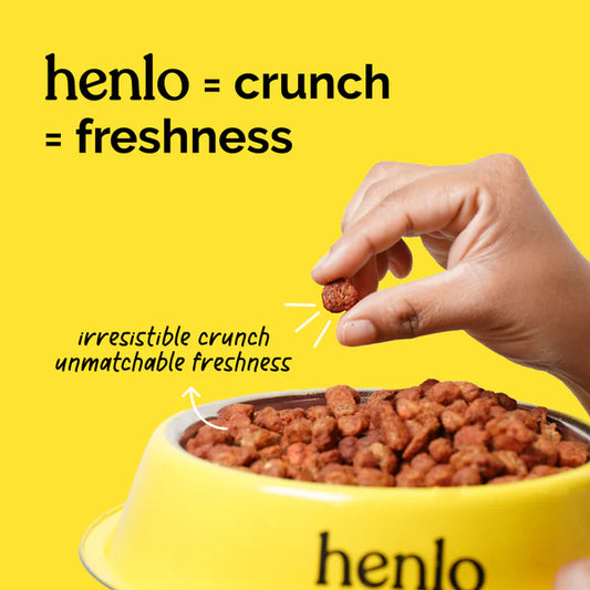 Chicken and Egg Baked Dry Food for Adult Dogs & Puppies