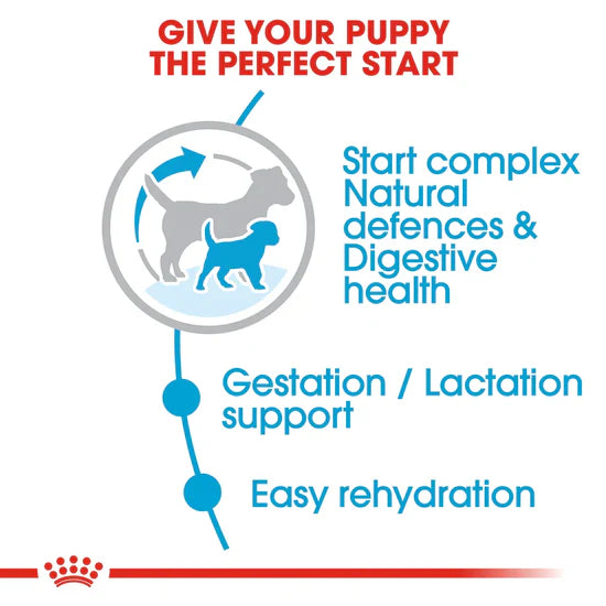 Royal Canin Mini Starter Dry Dog Food