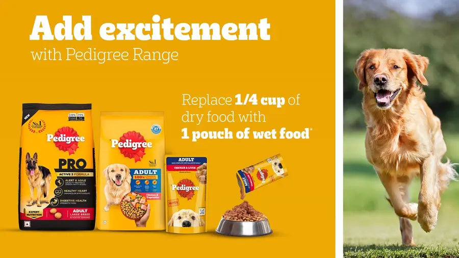 Pedigree Adult Wet Dog Wet Food - Chicken & Liver Chunks in Gravy