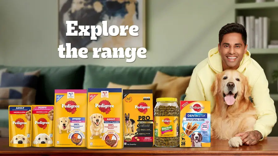 Pedigree Adult Wet Dog Wet Food - Chicken & Liver Chunks in Gravy