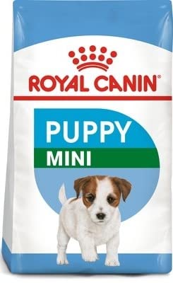 Royal Canin Mini Puppy Food, 4 Kg, Dry Food, Supports Immune System, Brain development & digestive health