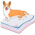 Goodies Training Pads for Dogs Super Absorbent 60x90cm (Large, 25pcs)