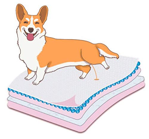 Goodies Training Pads for Dogs Super Absorbent 45x60cm (Medium, 50pcs) Pack of 1 Sold by DogsNCats