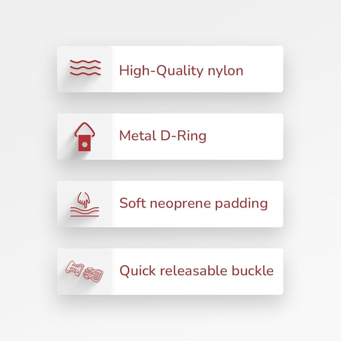 Zigly Lifestyle Doodle Dog Collar-Large - Blue-Adjustable & Durable Collar for Large Dogs | Stylish Pet Collar for Daily Use | Collars for Dogs