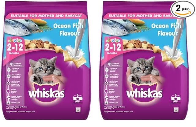 Whiskas Junior Mother Cat & Kitten (2-12 Months) Dry Cat Food, Ocean Fish Flavour, 450 g, Contains 41 Essential Nutrients, Complete & Balanced Nutrition for Mother Cats & Kittens (Pack of 2)