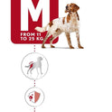 Royal Canin Medium Adult Dog Food, 1 Kg, Dry Food, Provides Muscle Mass, Supports Complex Natural Defense & Optimal Health Support