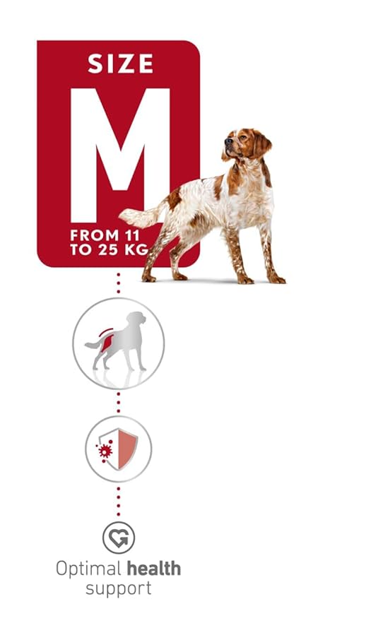 Royal Canin Medium Adult Dog Food, 15 Kg, Dry Food, Supports Digestive Health & Promotes Natural Defence