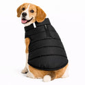Zigly Lifestyle Trail Buddy Dog Jacket Black| Lightweight, Water-Resistant & Windproof Dog Coat - 2XL