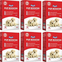 Drools Pup Booster - Puppy Weaning Diet for All Breeds 300 gram (Pack of 6) Milk 6 kg (6x1 kg) Wet New Born Dog Food