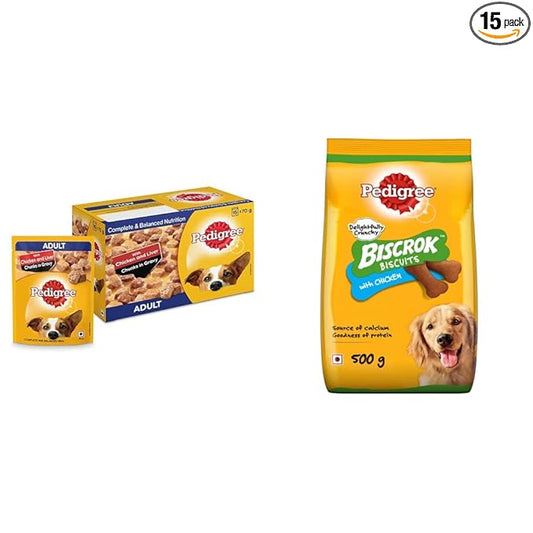 Pedigree Adult Wet Dog Food, Chicken & Liver Chunks in Gravy, 70 g (Pack of 15) & Pedigree Biscrok Biscuits Valentines Gift Dog Treat (Above 4 Months) Chicken Flavour, 500g Pack