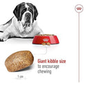 Royal Canin Giant Adult Dog Food, 4 Kg, Dry Food, Supports Healthy Joint, Digestive Health & Optimal Vitality Complex