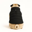 Zigly Lifestyle Trail Buddy Dog Jacket Black| Lightweight, Water-Resistant & Windproof Dog Coat - 2XL