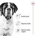 Royal Canin Giant Adult Dog Food, 4 Kg, Dry Food, Supports Healthy Joint, Digestive Health & Optimal Vitality Complex
