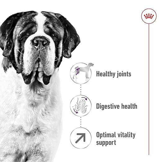 Royal Canin Giant Adult Dog Food, 4 Kg, Dry Food, Supports Healthy Joint, Digestive Health & Optimal Vitality Complex