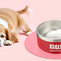 Zigly Double Walled Dog Bowl – 2000 ml, Red | Insulated Food Bowl for Dog | Anti-Skid Base | Large Size Dog Bowl for Food & Water