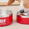Zigly Double Walled Dog Bowl – 2000 ml, Red | Insulated Food Bowl for Dog | Anti-Skid Base | Large Size Dog Bowl for Food & Water