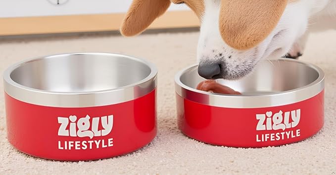 Zigly Double Walled Dog Bowl – 2000 ml, Red | Insulated Food Bowl for Dog | Anti-Skid Base | Large Size Dog Bowl for Food & Water