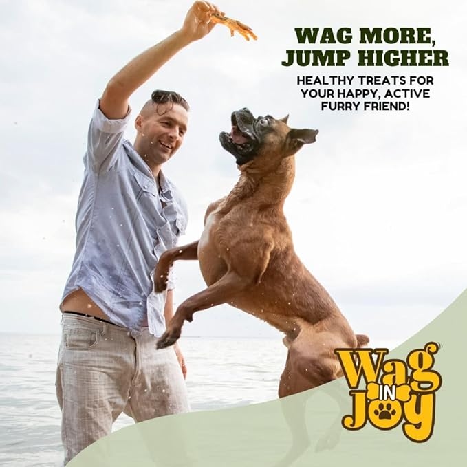 100% Natural Dehydrated Chicken Feet Treats for Dogs | High in Glucosamine & Chondroitin | Gluten-Free | 120 gram Pack with 8-12 Pieces, Young, Dry Food