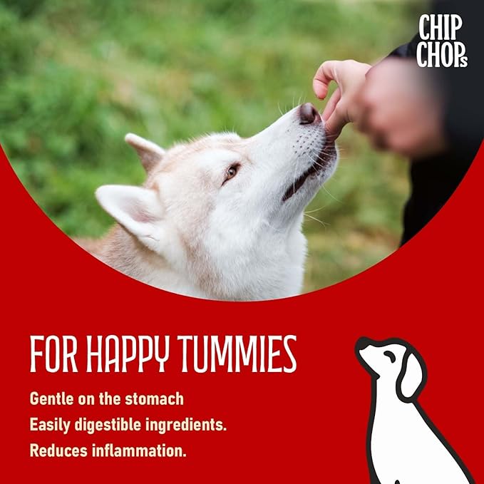 Chip Chops Dog Treats Combo (Fish on Stick, 70g and Green Tea Flavour Toothbrush Shaped Dental Treat, 102g) - Protein Rich, Healthy & Training Snacks for All Dog Breeds