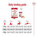 Royal Canin Medium Adult Dog Food, 4 Kg, Dry Food, Provides Muscle Mass, Supports Complex Natural Defense & Optimal Health Support