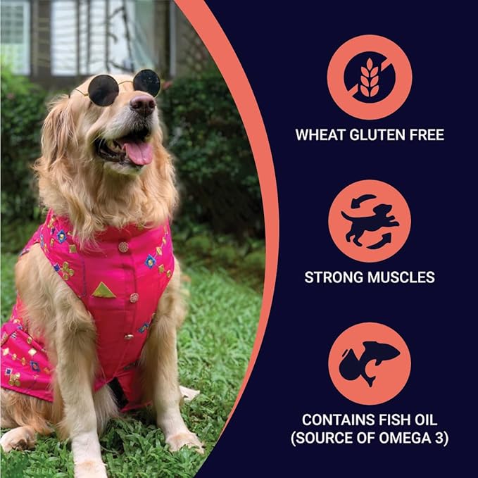 Bowlers Adult Wet Dog Food | Lamb in Gravy |80 GMS (Pack of 48)| Gluten Free | Supports Hydration | Smooth Digestion & Healthy Coat