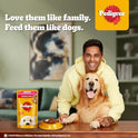 Pedigree Puppy Wet Dog Food, Chicken Chunks in Gravy, 130 g (Pack of 12), Complete & Balanced Meal for Puppies