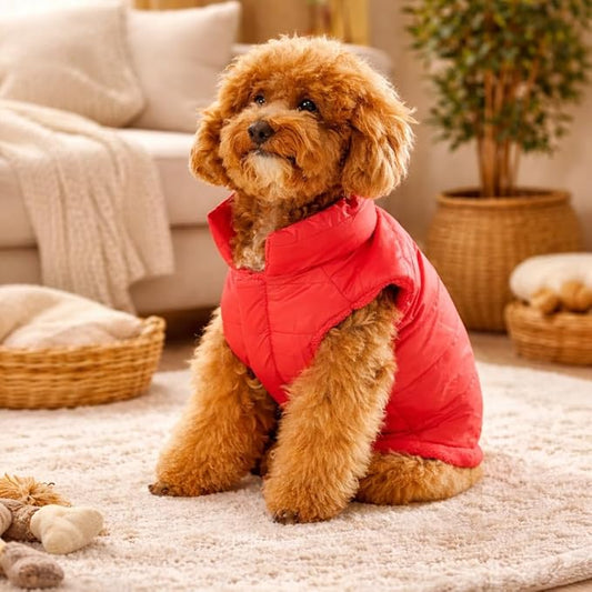 Zigly Lifestyle Reversible Ambergini Puffer Dog Jacket-L-(47cm)| Warm Winter Dog Coat