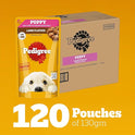 Pedigree Puppy Wet Dog Food, Lamb Flavour Chunks in Gravy, 130 g (Pack of 120), Complete & Balanced Meal for Puppies