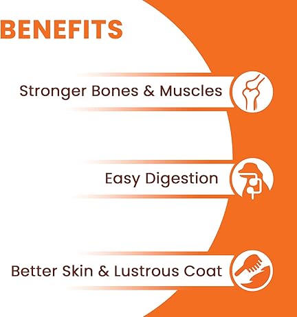 Dry Dog Food Adult 3kg | High Protein Chicken, Rice, Vegetables | 39 Essential Nutrients | Healthy Skin Shiny Coat, Strong Bones & Muscles| Complete Balanced Pure Pet Food for Pedigree Dogs